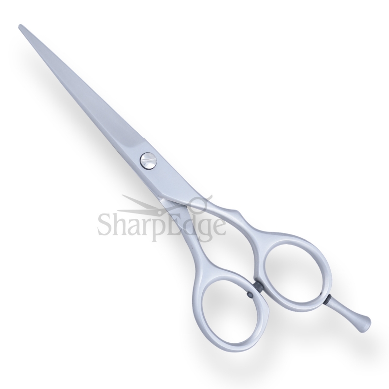 Professional Hair Dressing Scissors 